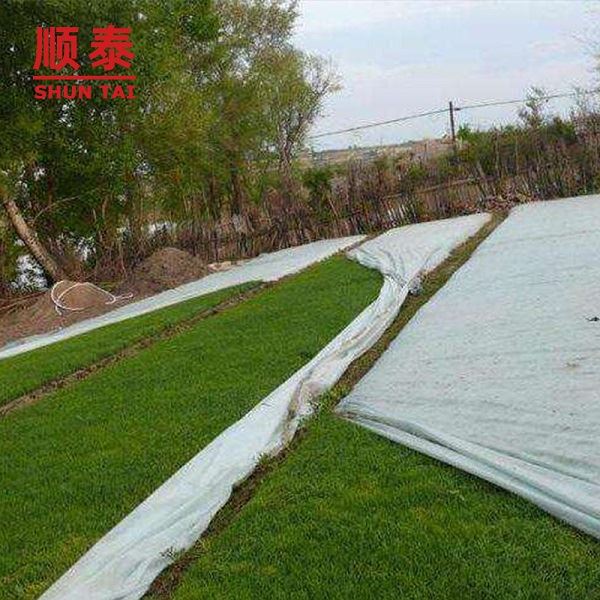 200 gsm Nonwoven Polyester Geotextile Fabrics