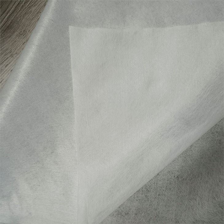 PET spunlace nonwoven